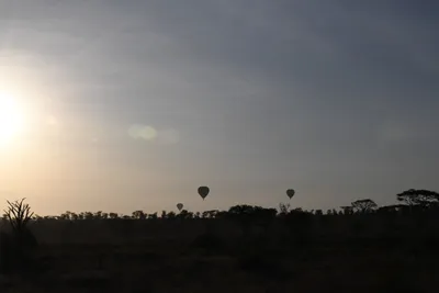 DSC_3750 (Large).JPG